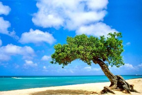 世界羽毛球公开赛：混双节奏与网前控制成焦点，世界羽毛球联赛