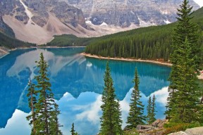 2026 居家健身 App 排名：哪款提供的虚拟私教交互感最强？，居家健身健康系列
