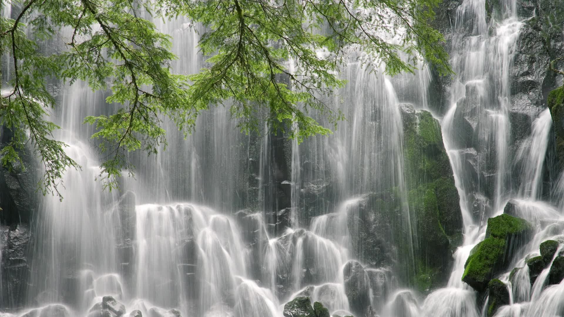 世界游泳接力队训练营营养配餐第三版标准化发布，游泳接力赛世界纪录